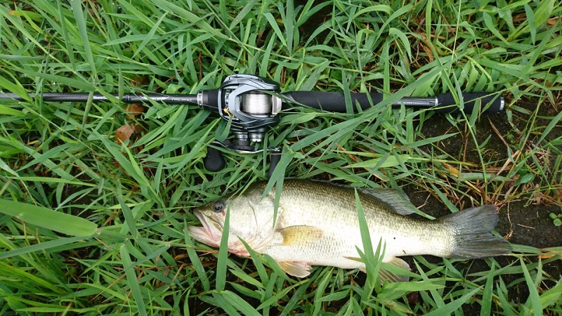 野池BASSタックル