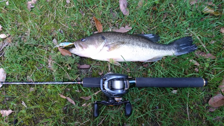 初心者用ベイトタックル