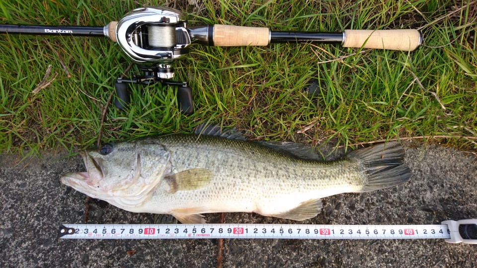 シマノ バンタム 173H