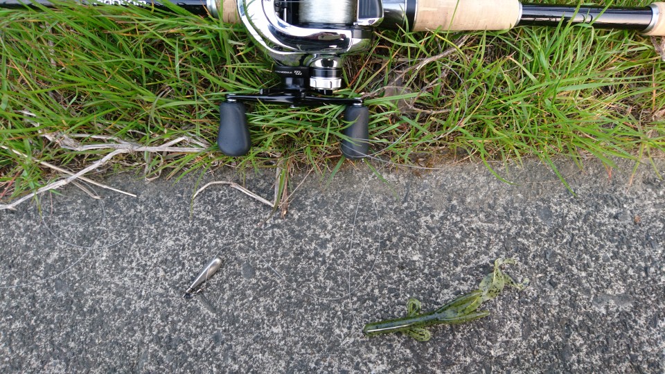 ヘビーダウンショットリグ