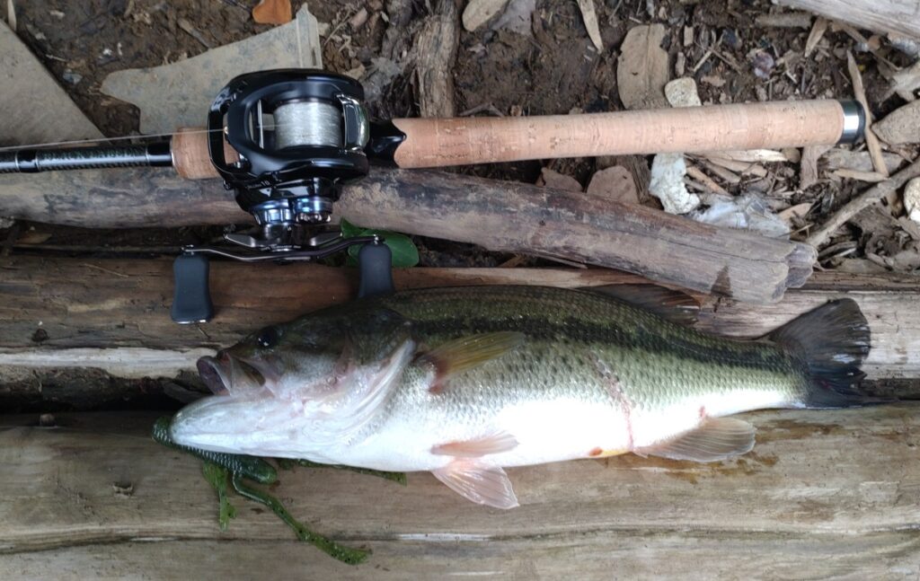 ジリオン10インプレ