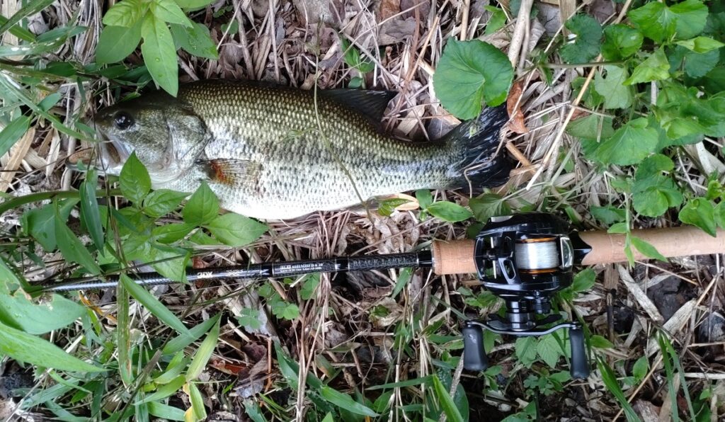 デスアダーで釣れたBASS