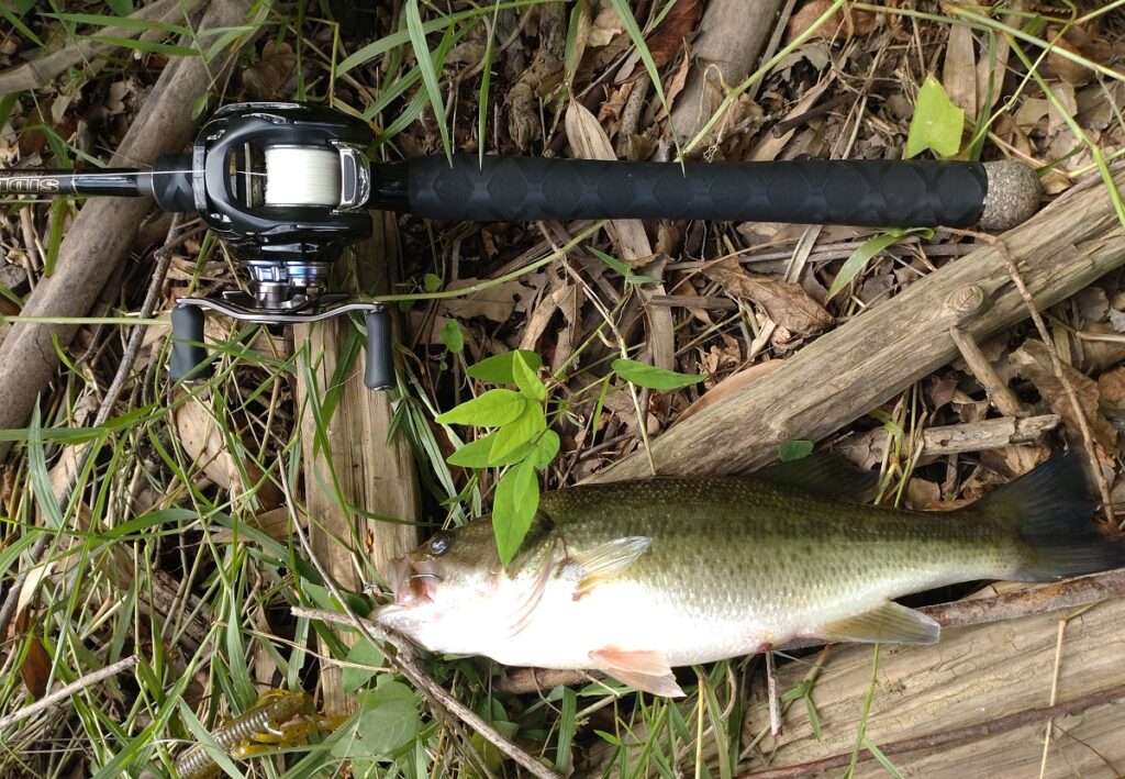 2022年9月4日の釣果１