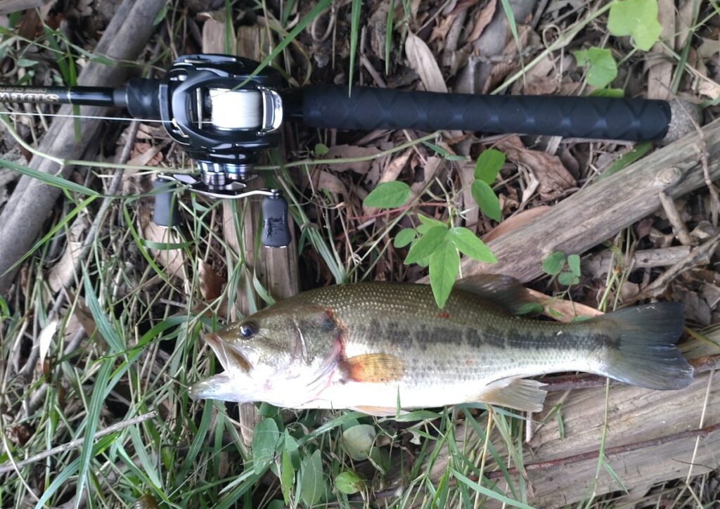 2022年9月4日の釣果２