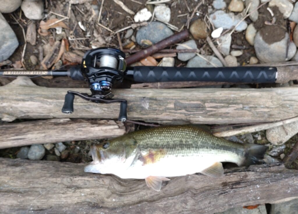 2022年9月17日のBASS