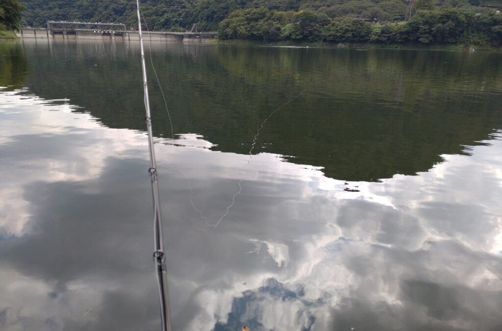 水に浮いたライン