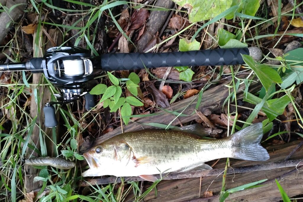 PEラインを使う