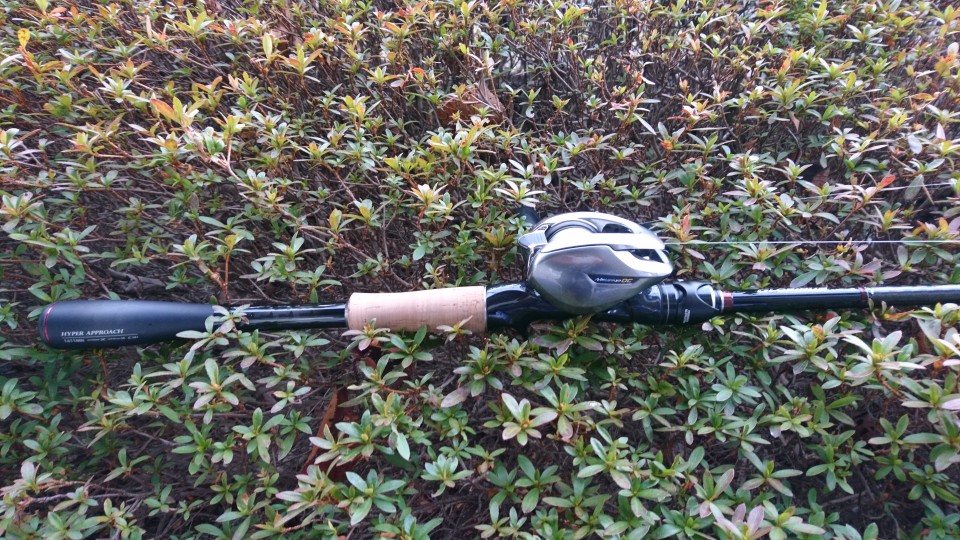 ポイズングロリアス1611MH