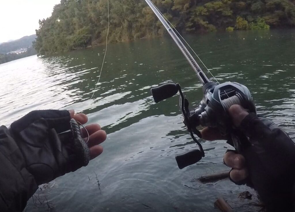 エックスブレイド オルトロス WX8P-1