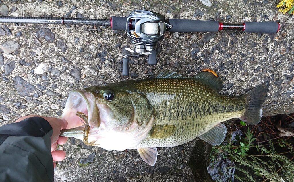 オカッパリに一本持って行く ベイトロッド