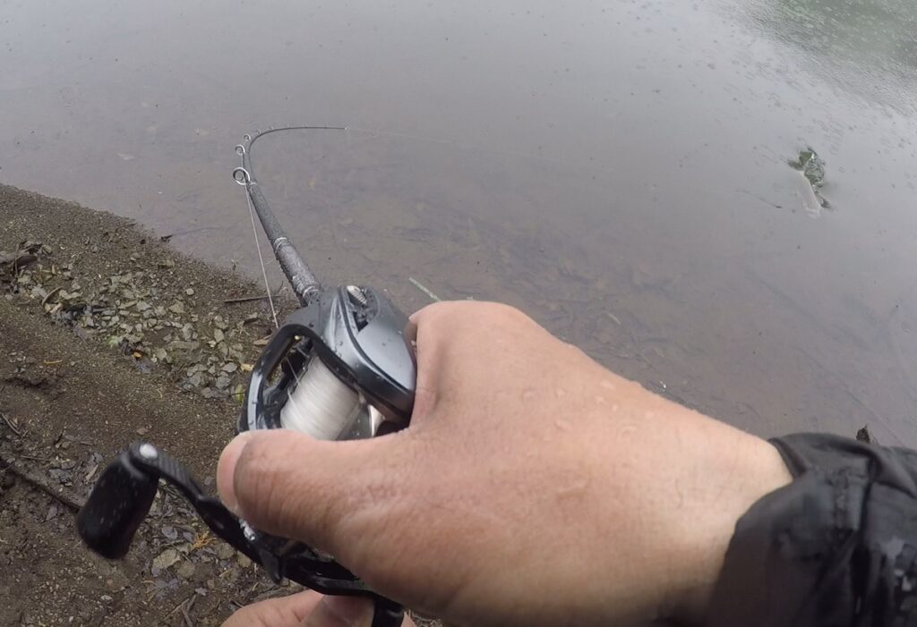 カバースキャットを陸っぱりで使ってみたら