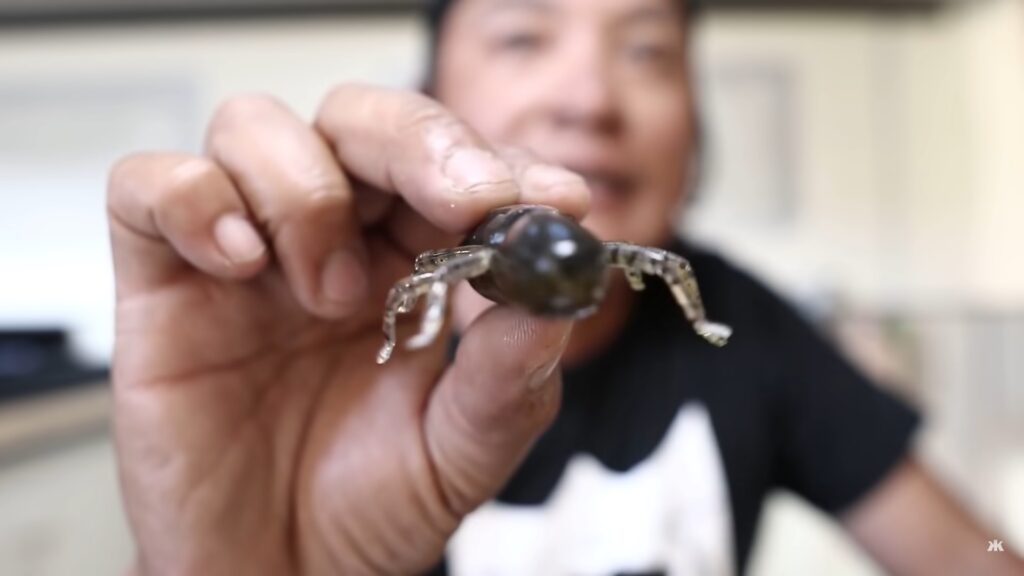 ジャゴロケット 3インチ足の曲がり角度