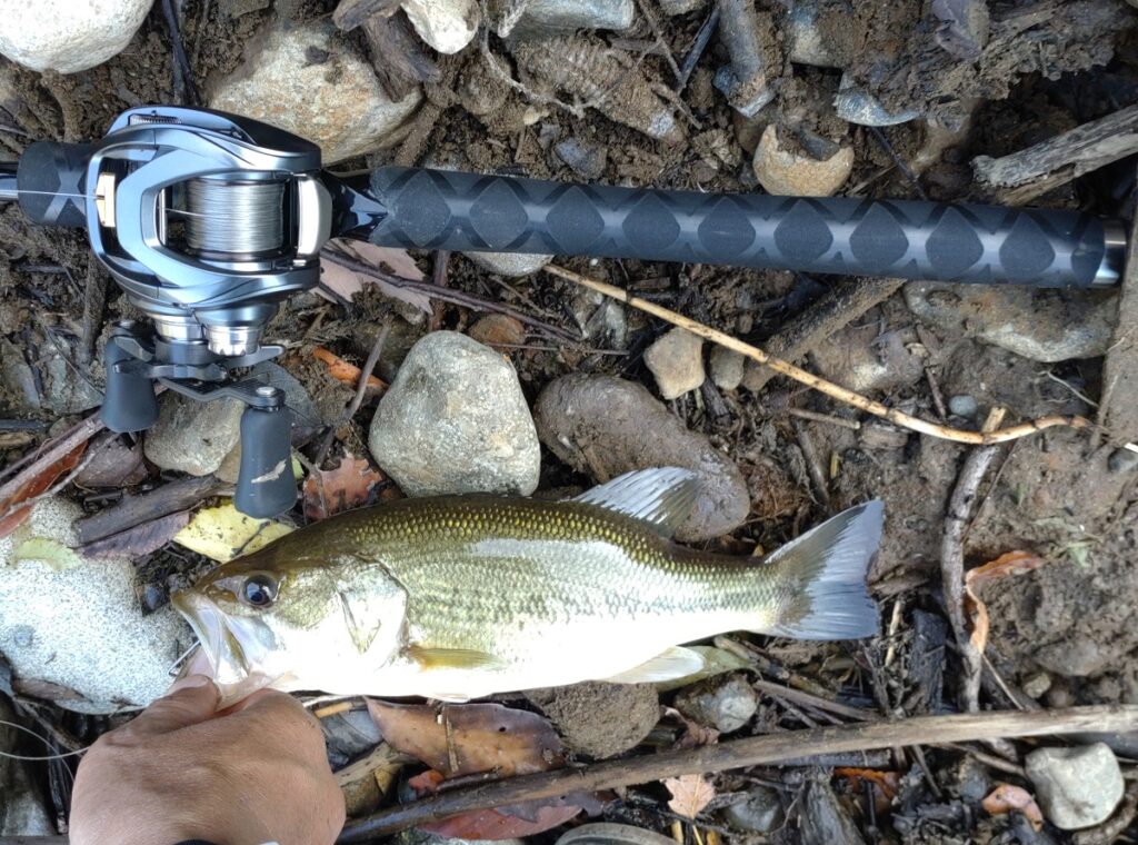 PEラインでカバースキャットを操作してみた