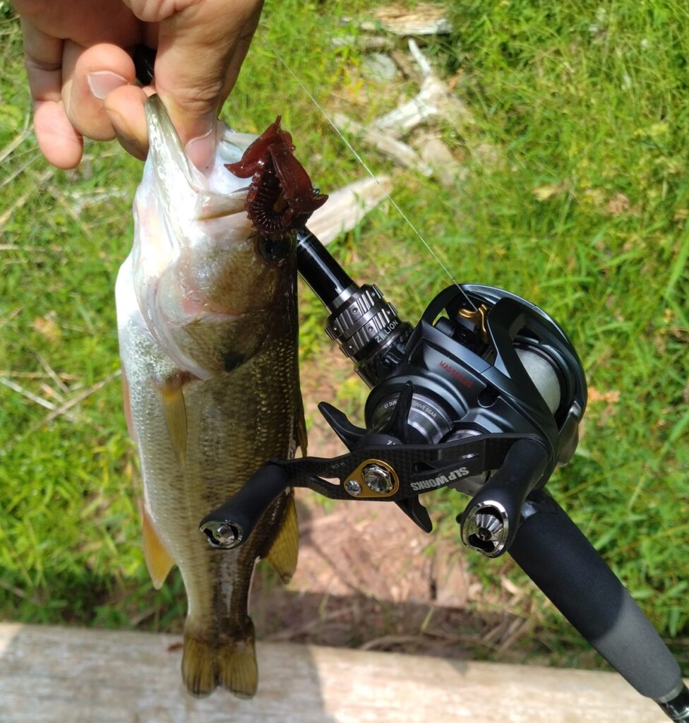 デプス MSクローのヘビキャロ