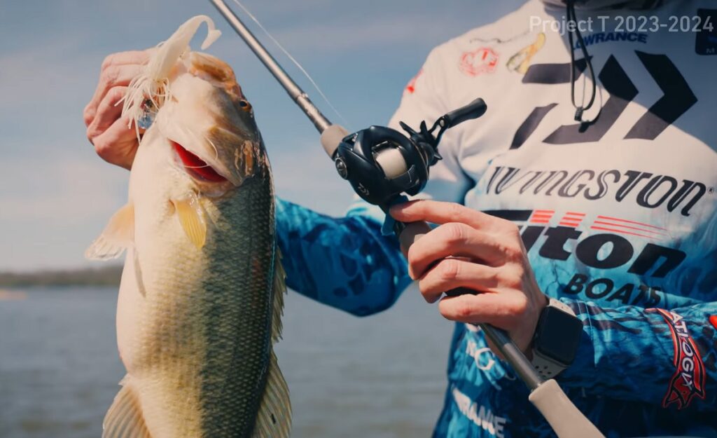 24TATULA TW100デザイン