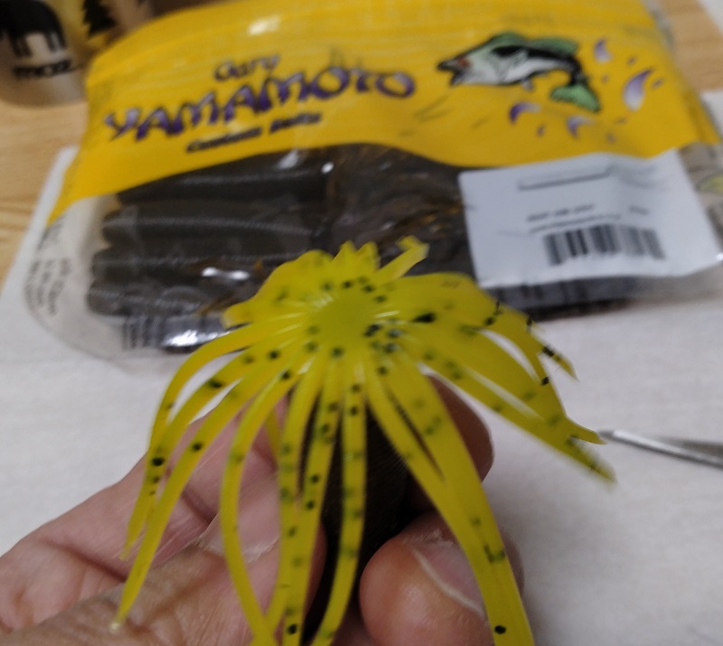 袋から出したファットイカはヒダが根本まで切れていません１