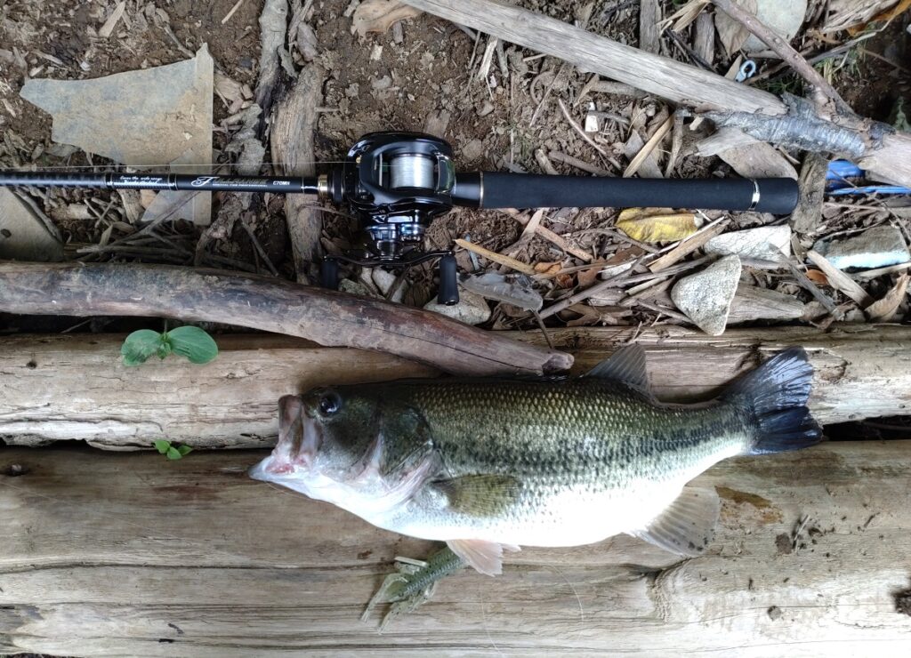 テイルウォーク フルレンジ C70MH