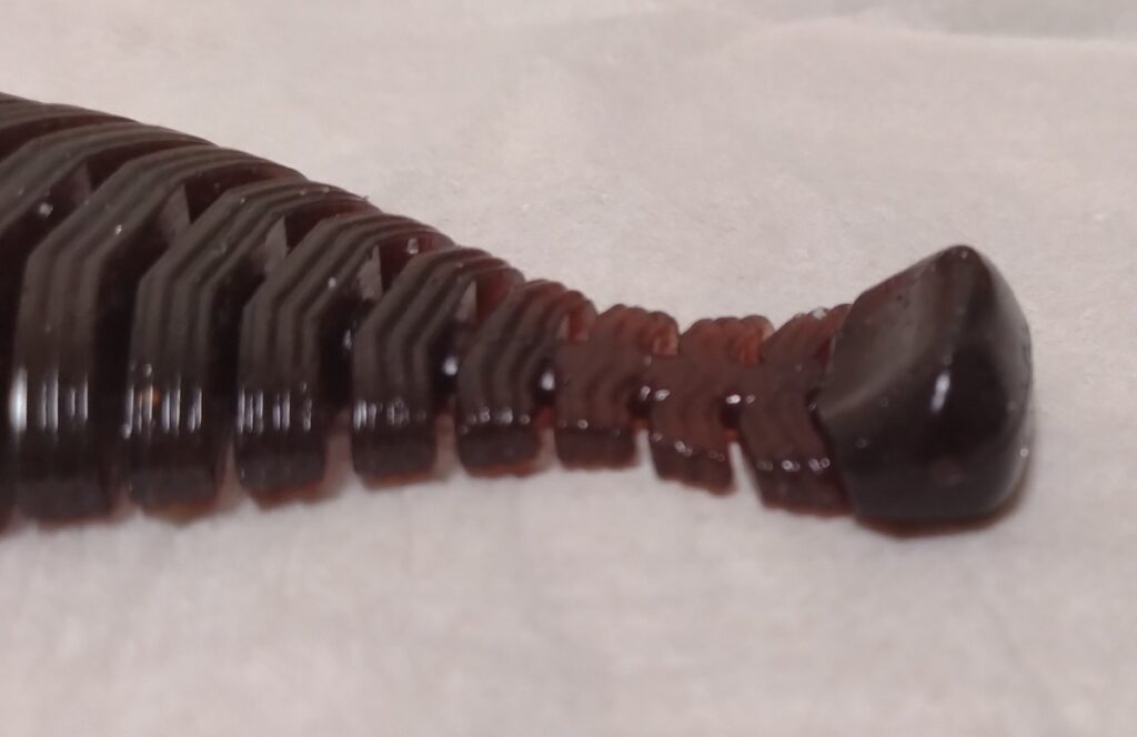 RAID ヒラタイラー4.7in.テールは太くなっているので、動きやすいと思う