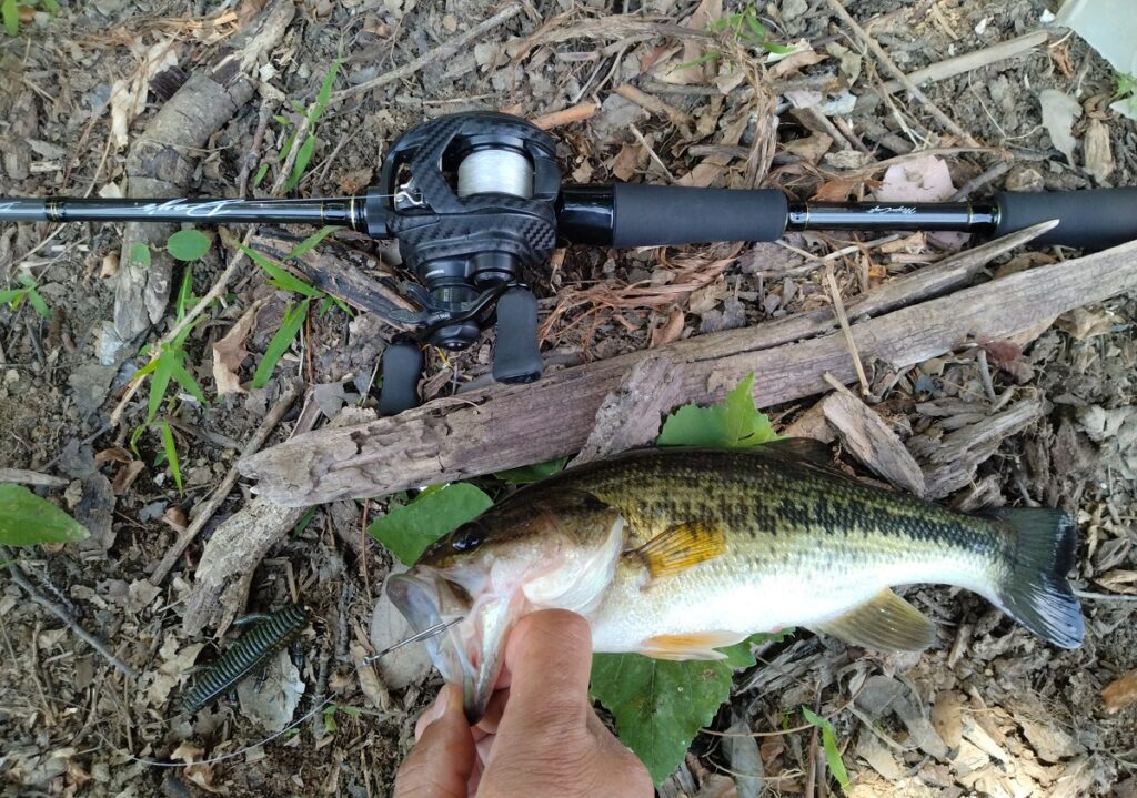 ボトムジャーク ロッド