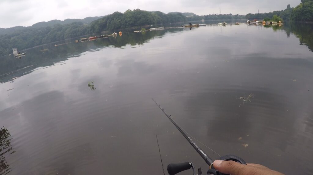 ボトムに沈んだワームの重さを感じたら、ゆっくりずる引き