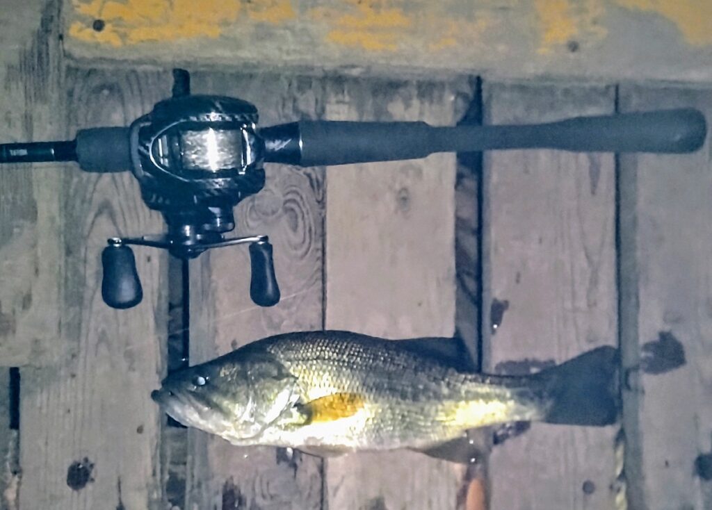 SLX DC XTギヤシャフトにベアリング追加して　ゴリ巻き