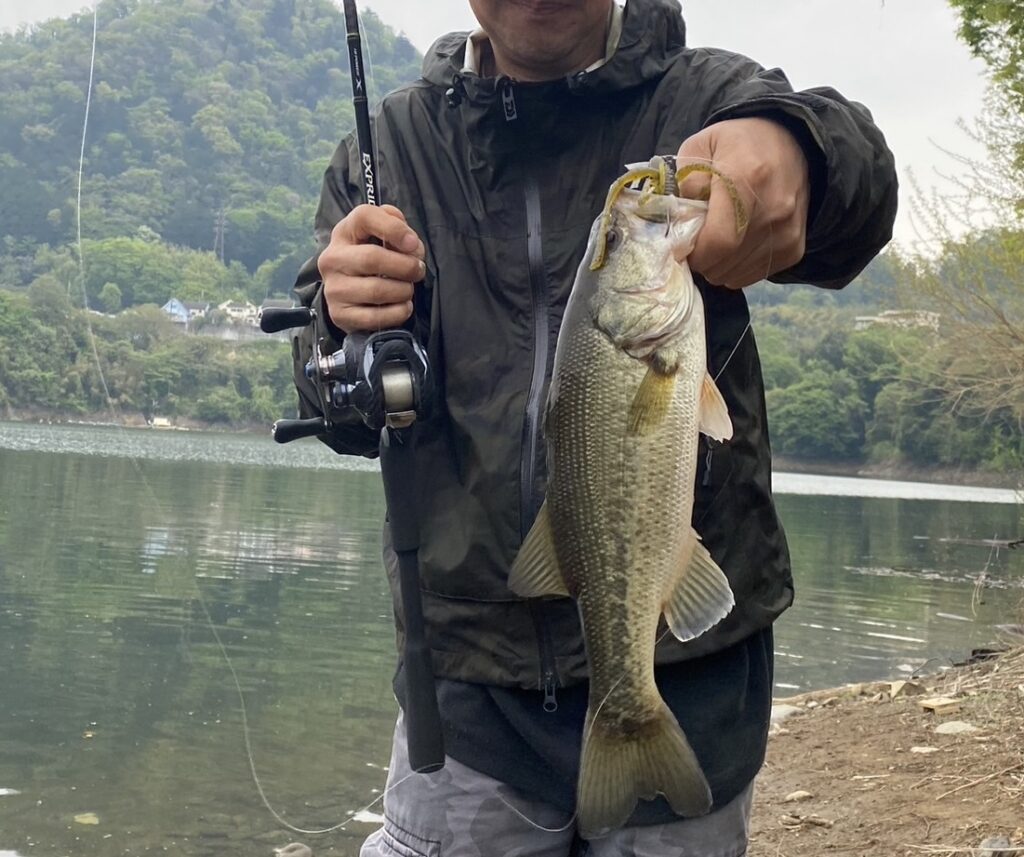 ゲーリーヤマモト ハガー