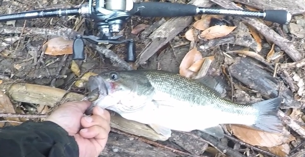 ボトムジャークのタックルセッティング