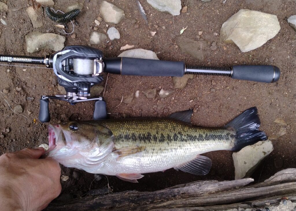 25年6月7日 釣果