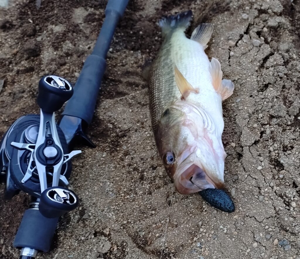 カバースキャット3.2インチ